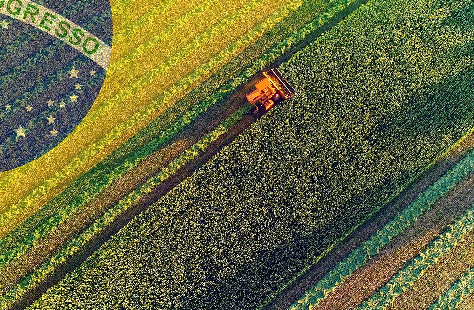Aerial view of Brazilian agricultural fields