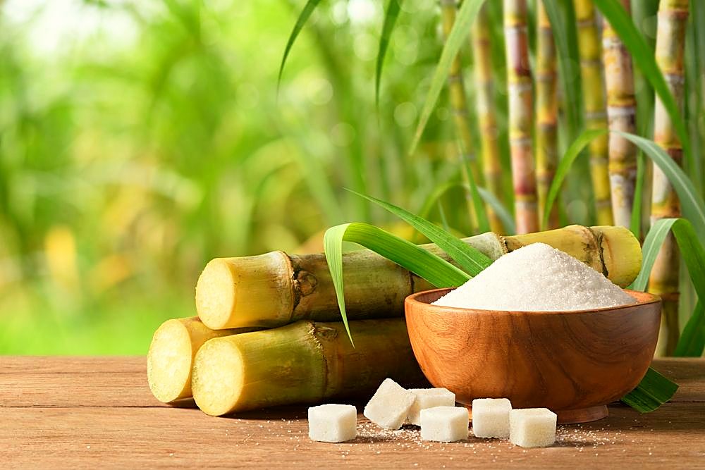 Brazilian sugar cane and refined sugar